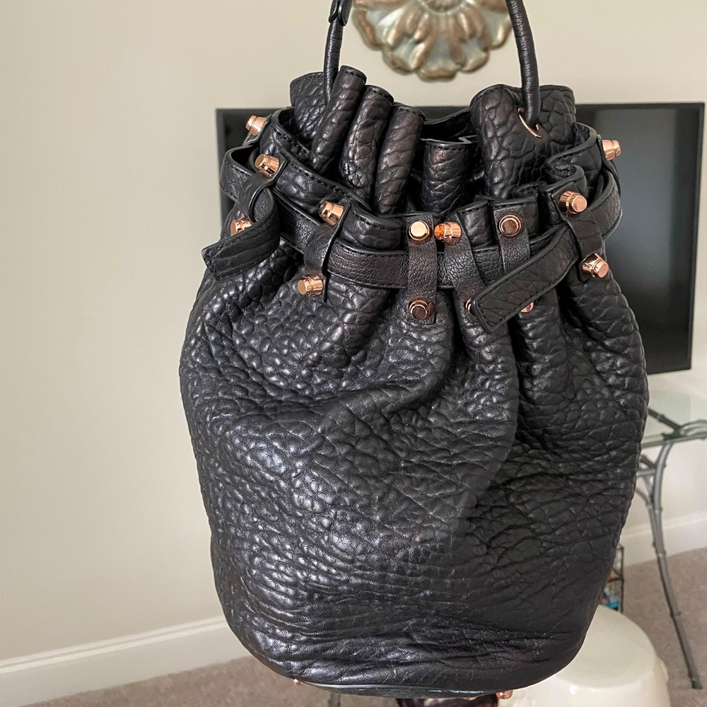 Alexander Wang Diego Leather Bag
